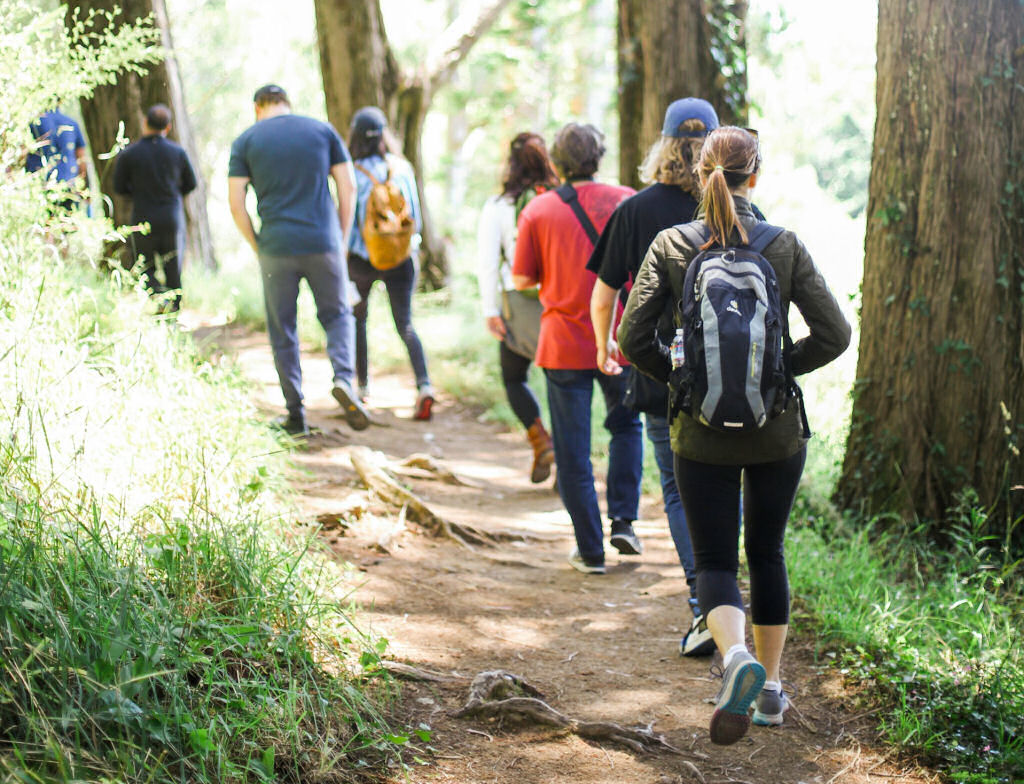 A group of walkers enjoying the countryside
