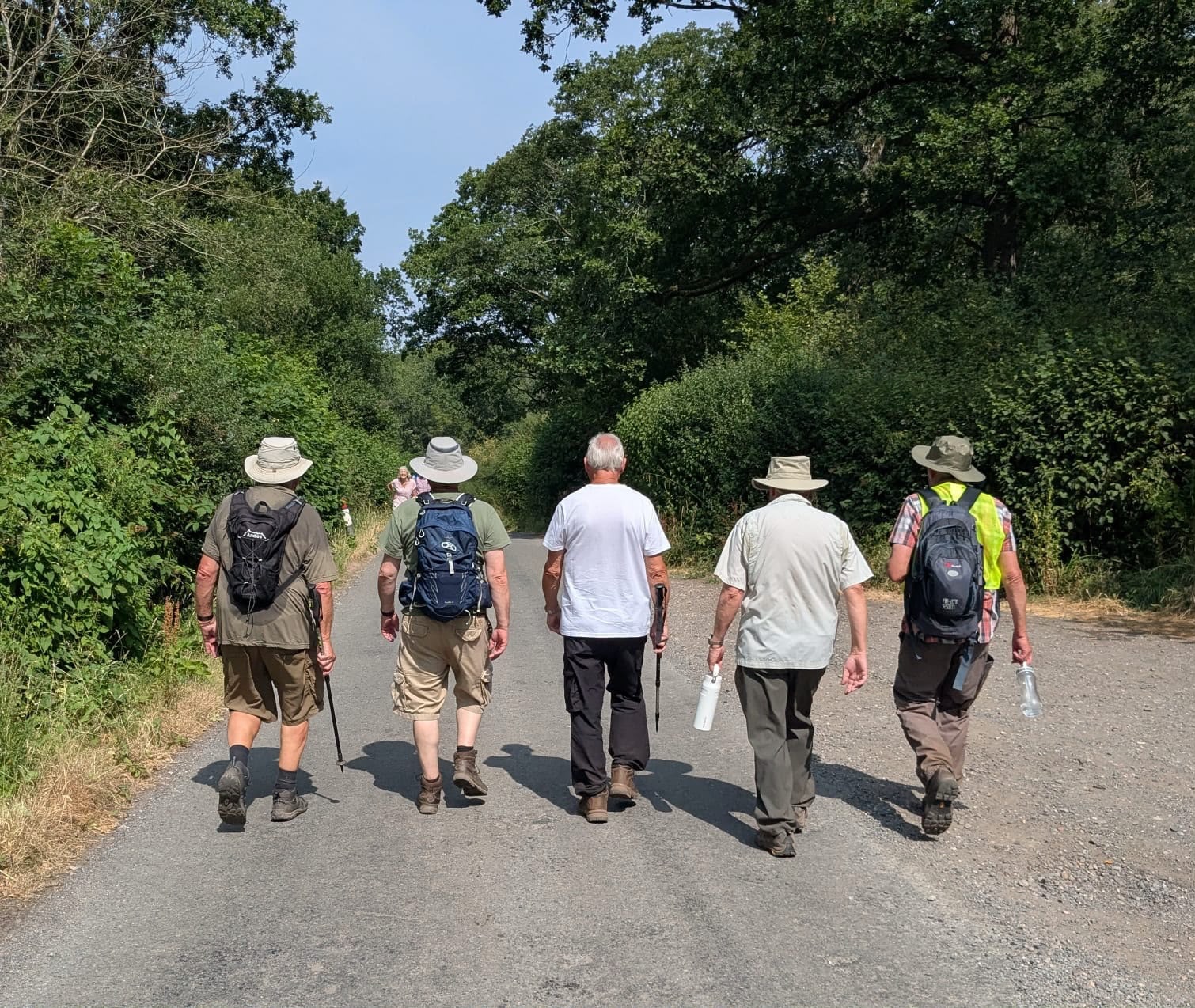 Five men in outdoor walking clothes walking abreast away from us down a country lane