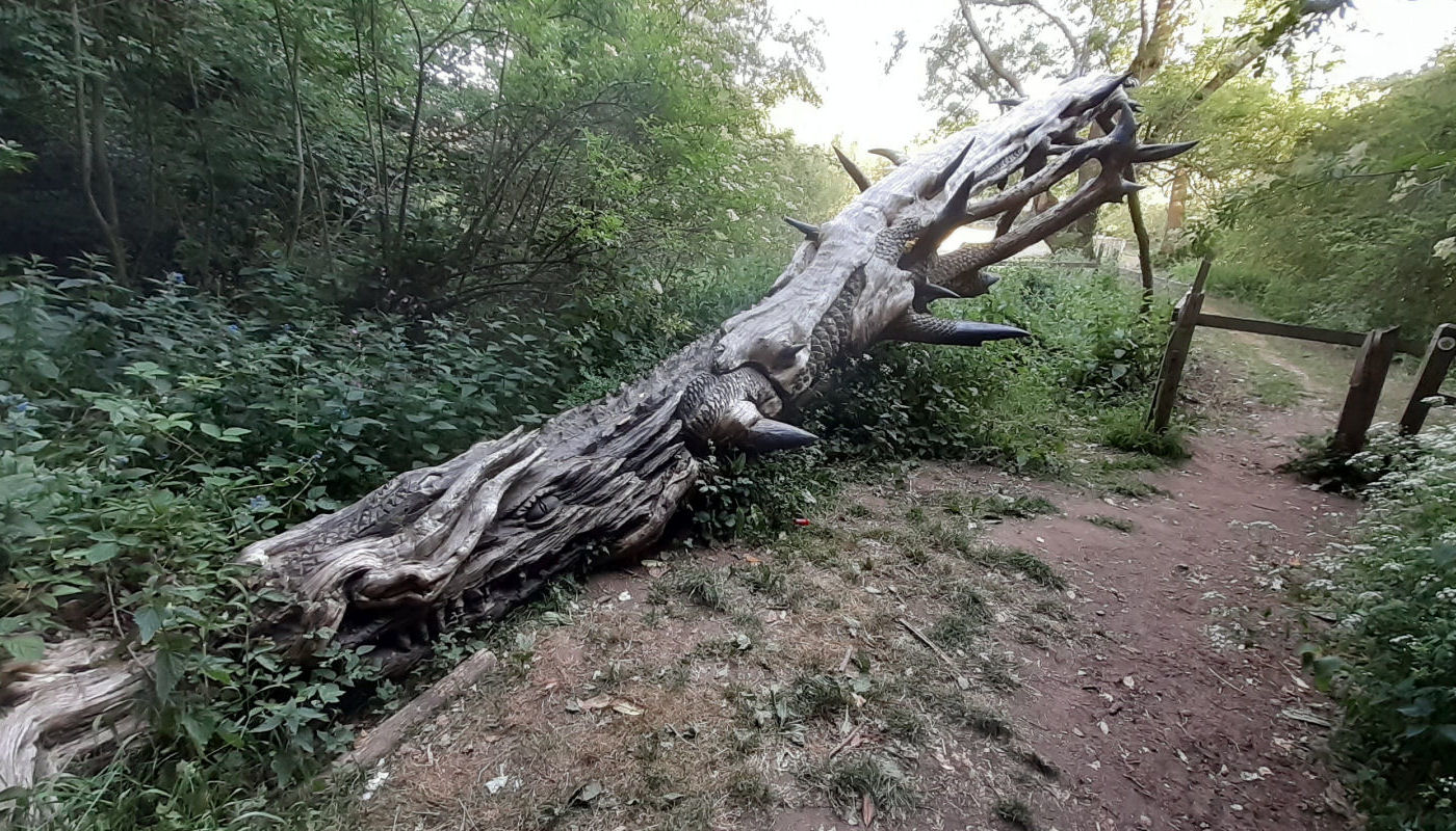 Wolverley Dragon