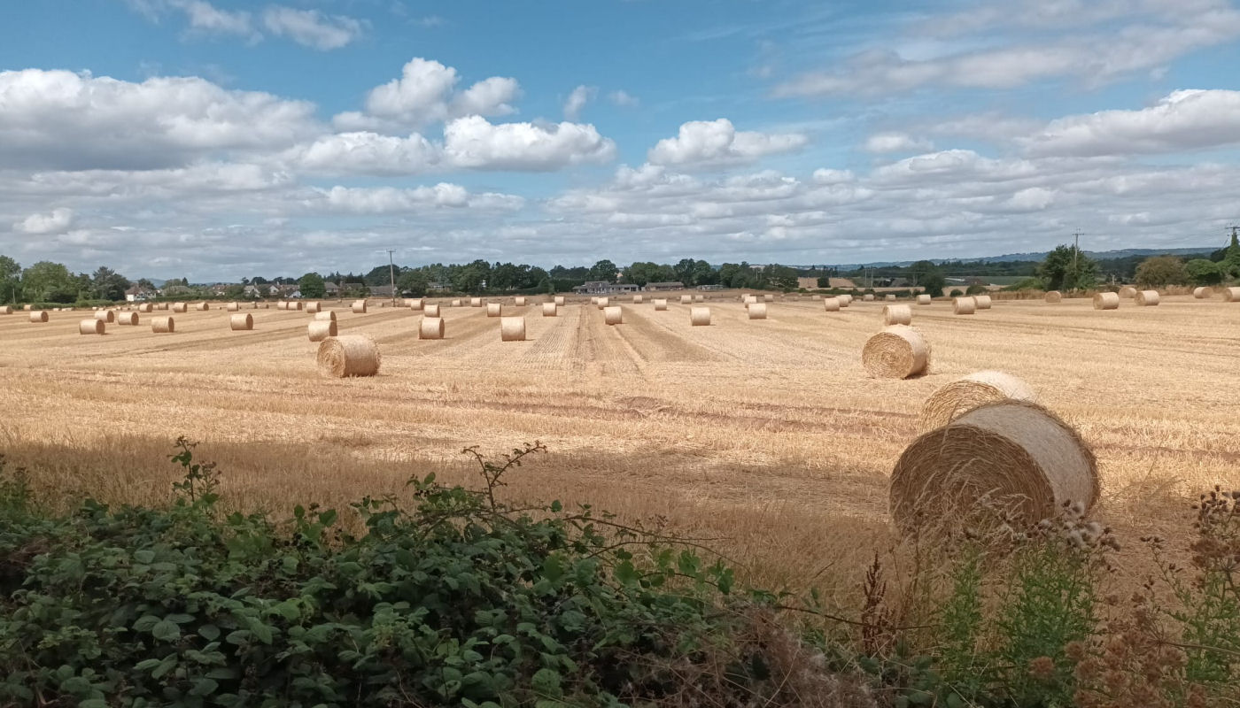 Make hay while the sun shines - Mustow Green 1st August 2026