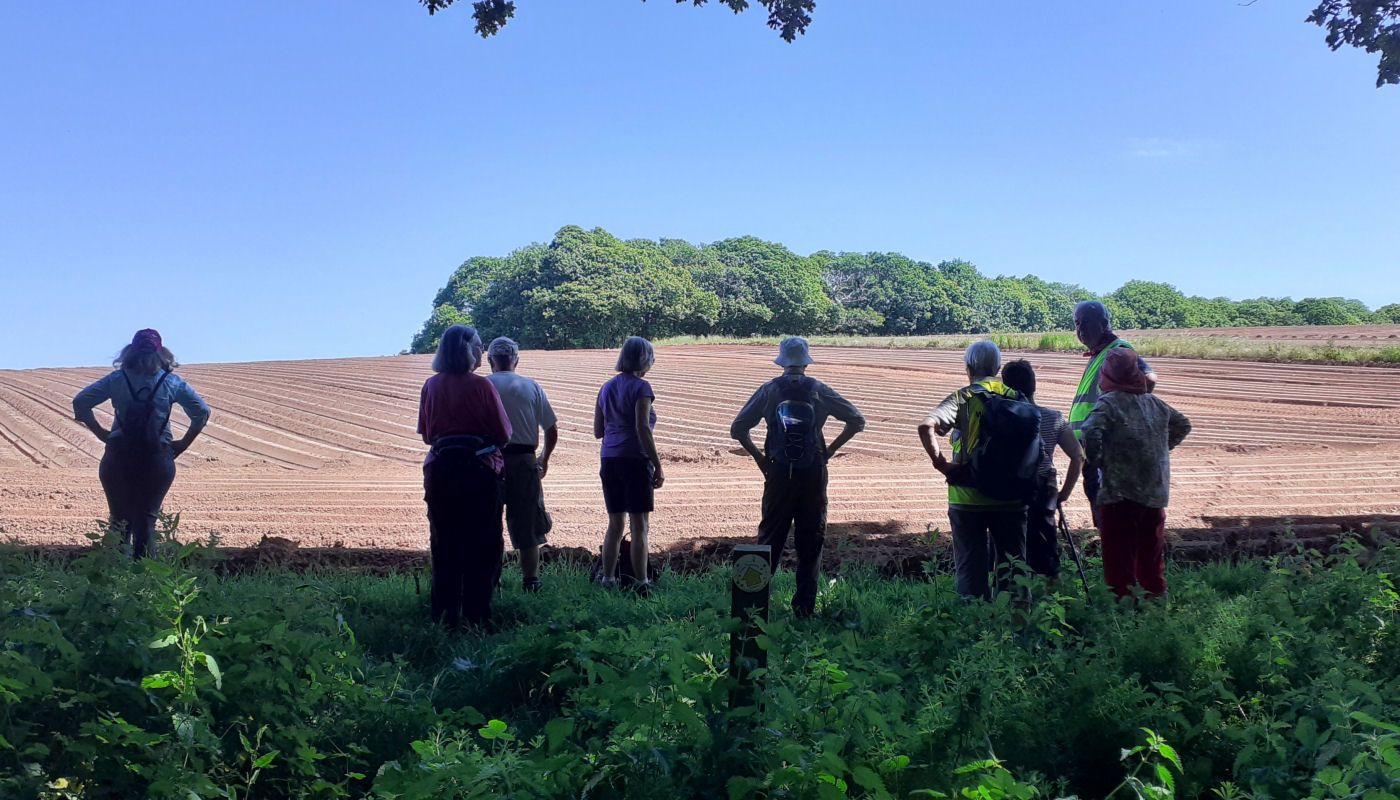 A group of walkers enjoying the countryside